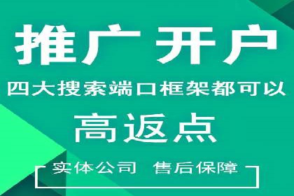 行业精英的SEM竞价经验与案例分享